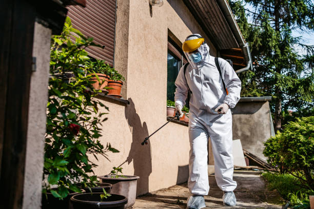 Best Flea Control Services  in Loudonville, NY