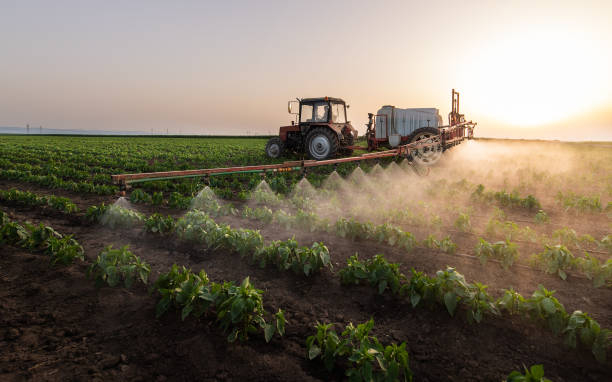 Best Mosquito Control Services  in Loudonville, NY