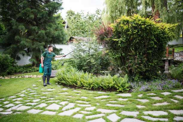 Best Affordable Pest Control Services  in Loudonville, NY