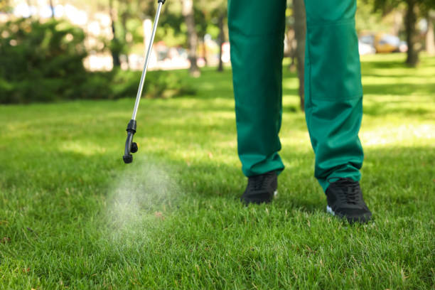 Best Affordable Pest Control Services  in Loudonville, NY