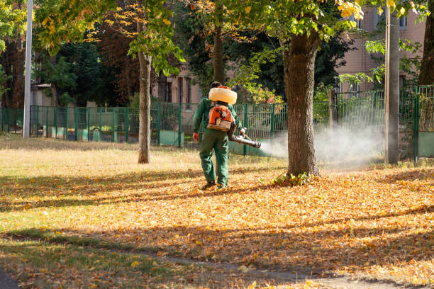 Best Residential Pest Control  in Loudonville, NY