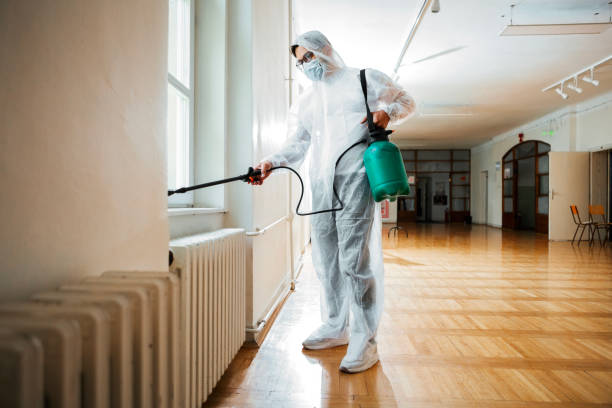 Best Wasp Removal Services  in Loudonville, NY