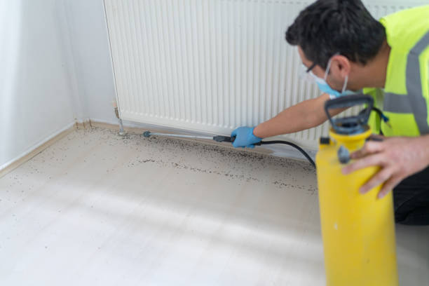 Professional Pest Control in Loudonville, NY