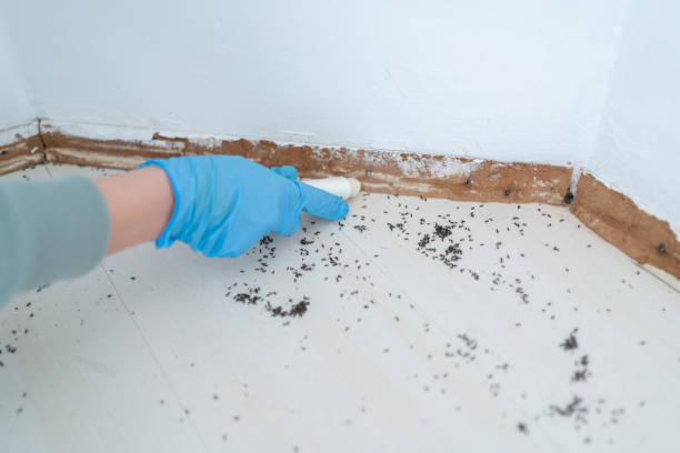 Pest Control for Restaurants in Loudonville, NY