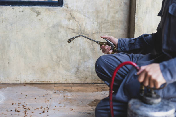 Best Residential Pest Control  in Loudonville, NY