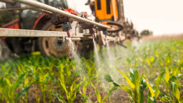 Pest Control Cost in Loudonville, NY